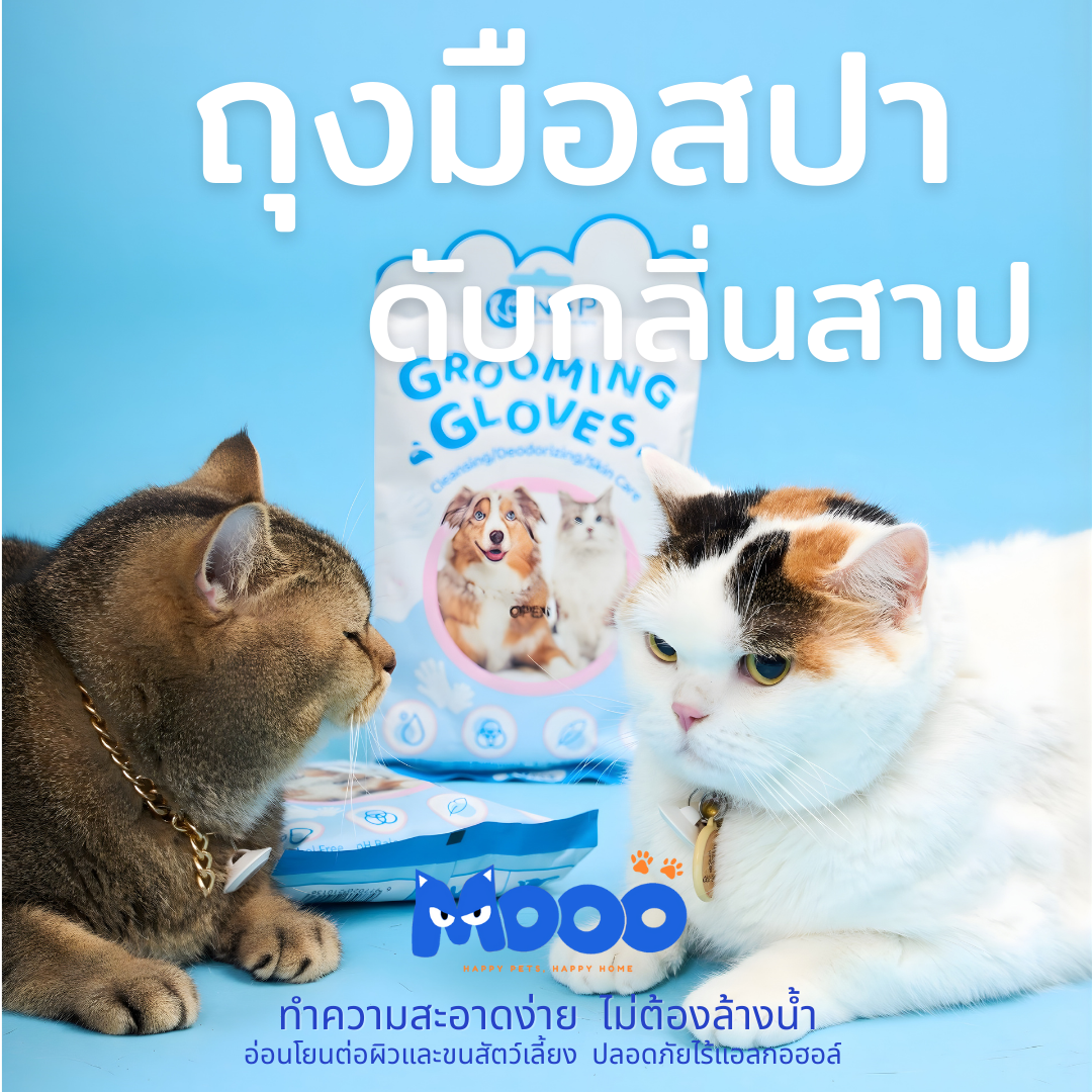 MOOO เซ็ตเช็ดหัวจรดหาง | น้ำยาเช็ดคราบน้ำตา + ถุงมือสปา (Bundle Set)