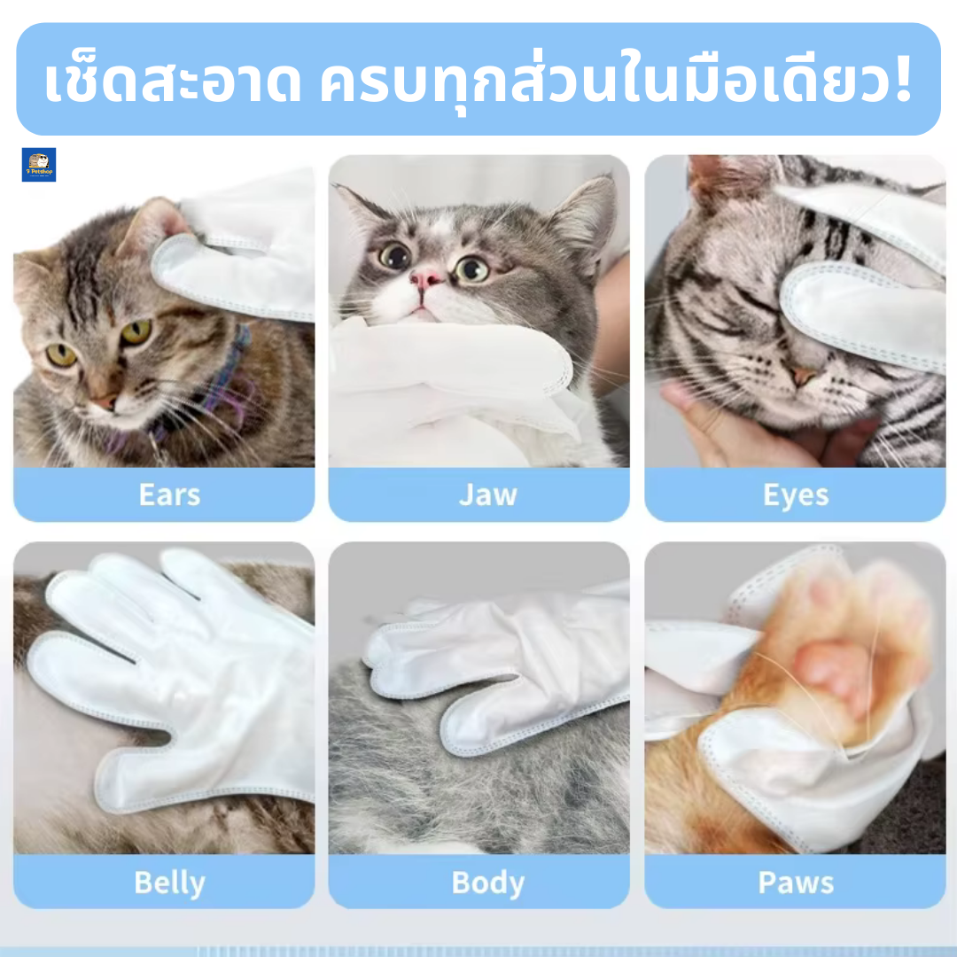 ถุงมือทำความสะอาดสำหรับสุนัขและแมว (Grooming Gloves)