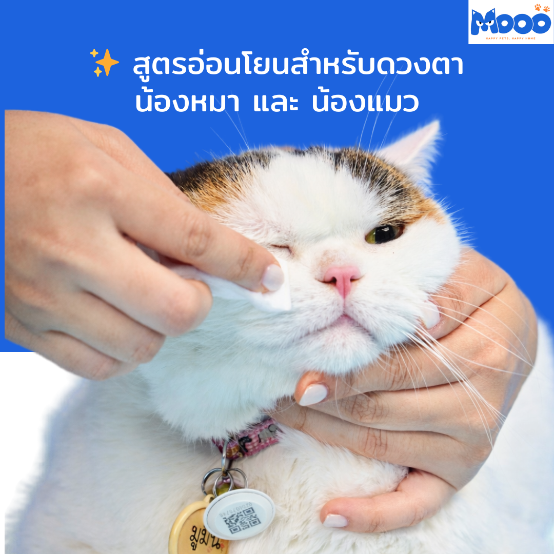 MOOO น้ำยาเช็ดคราบน้ำตา สูตรอ่อนโยน สำหรับสัตว์เลี้ยง