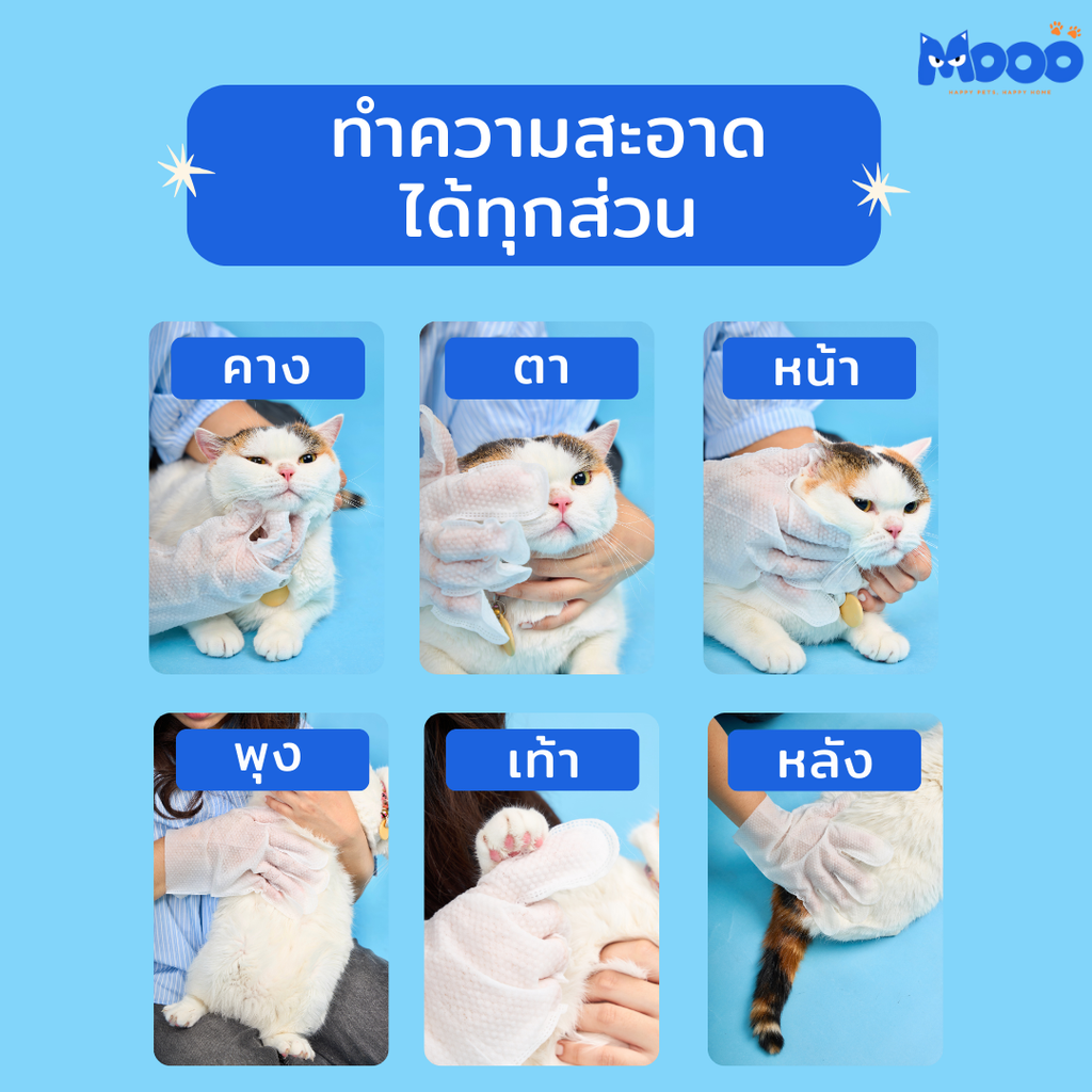 MOOO เซ็ตเช็ดหัวจรดหาง | น้ำยาเช็ดคราบน้ำตา + ถุงมือสปา (Bundle Set)