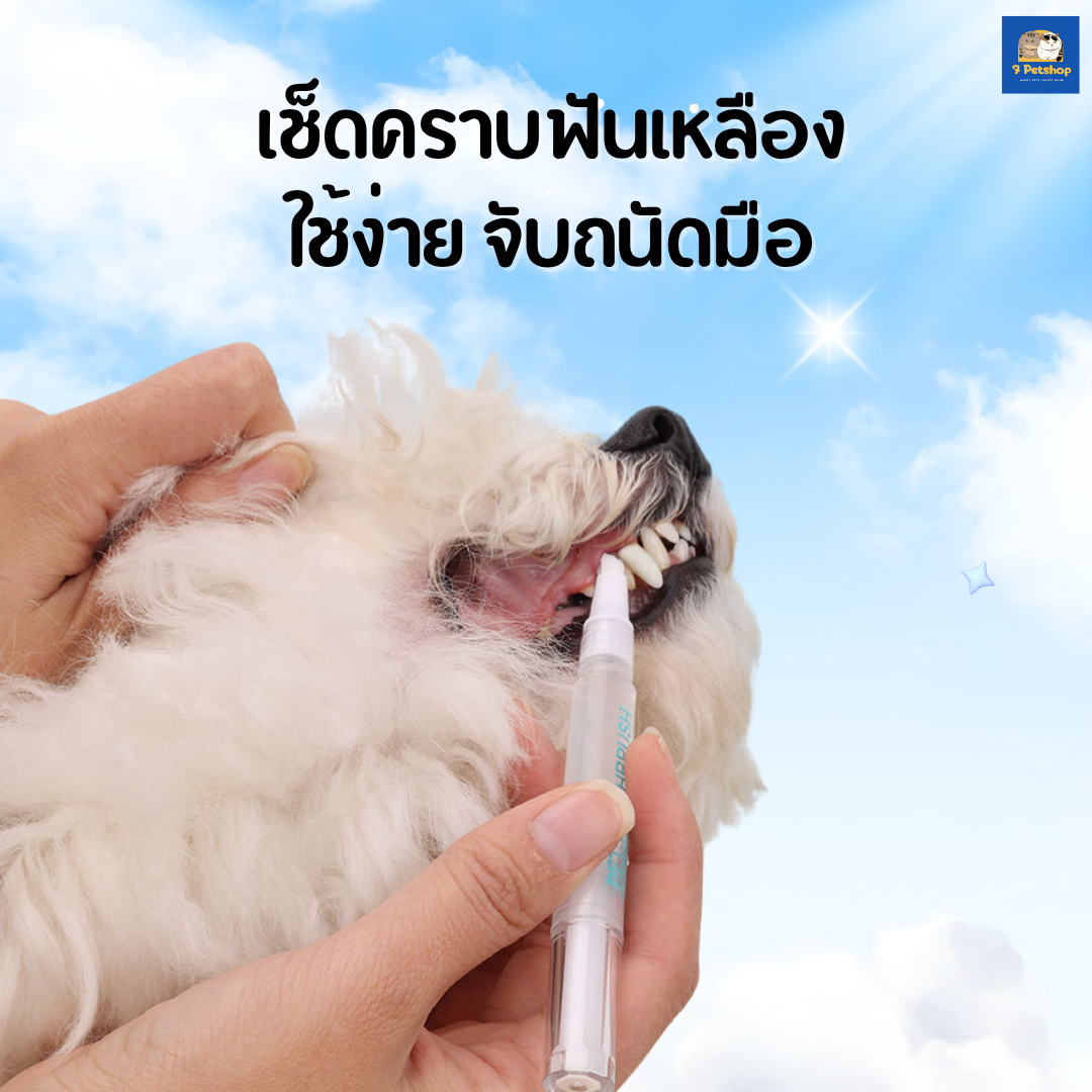 ปากกาแปรงฟันสัตว์เลี้ยงแบบออลอินวัน สำหรับสุนัขและแมว