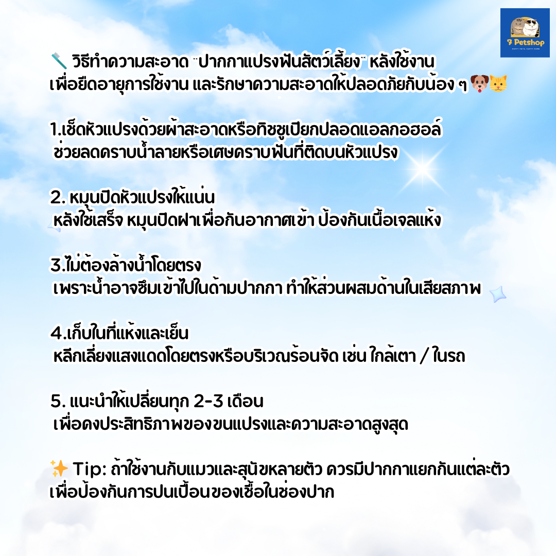 ปากกาแปรงฟันสัตว์เลี้ยงแบบออลอินวัน สำหรับสุนัขและแมว