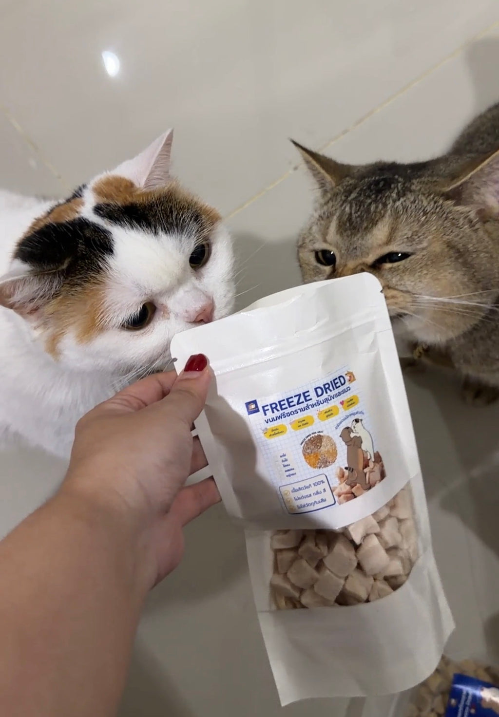 7Petshop Freeze-Dried Chicken Breast อกไก่ฟรีซดราย 100% สำหรับสุนัขและแมว