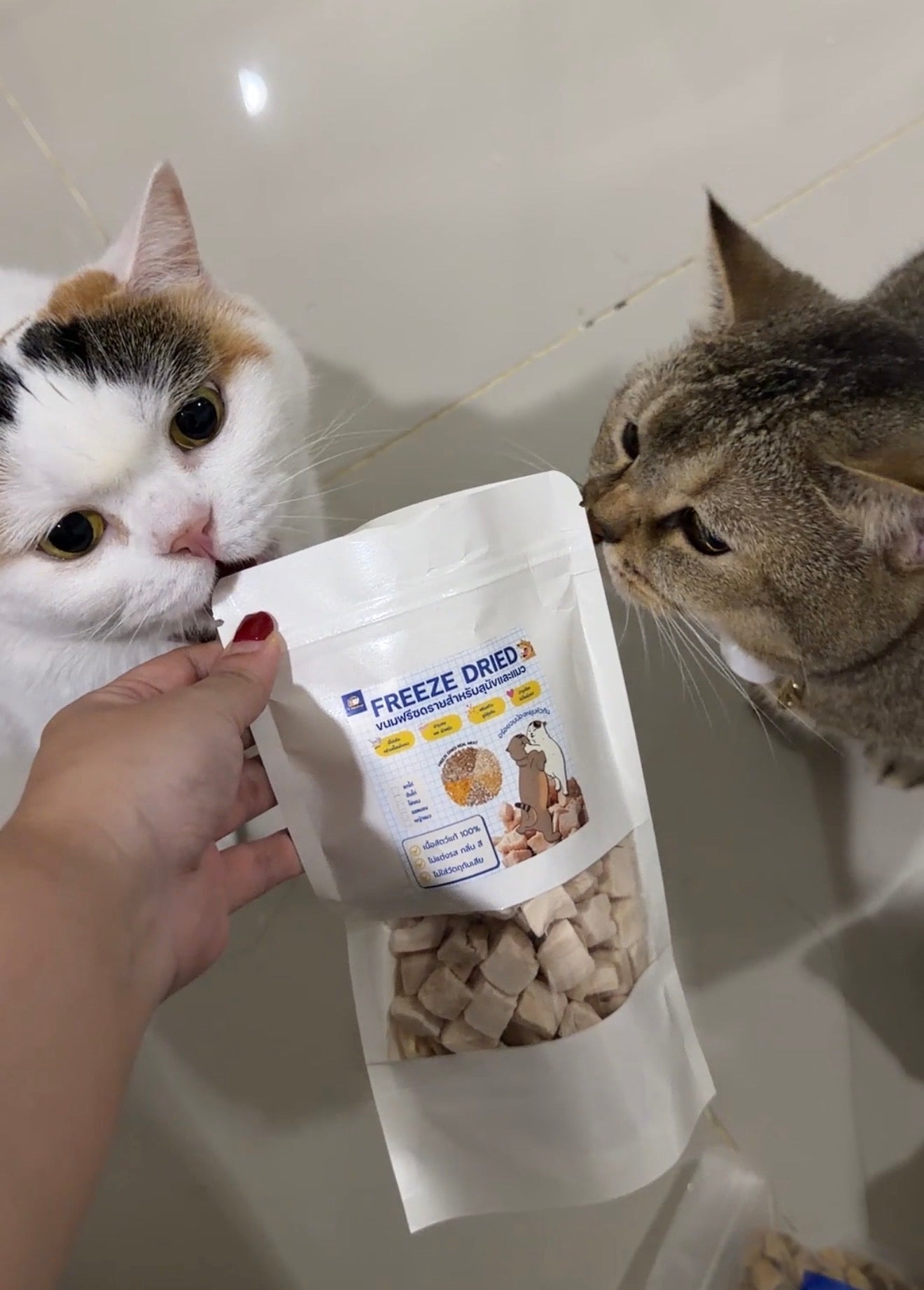 7Petshop Freeze-Dried Chicken Breast อกไก่ฟรีซดราย 100% สำหรับสุนัขและแมว