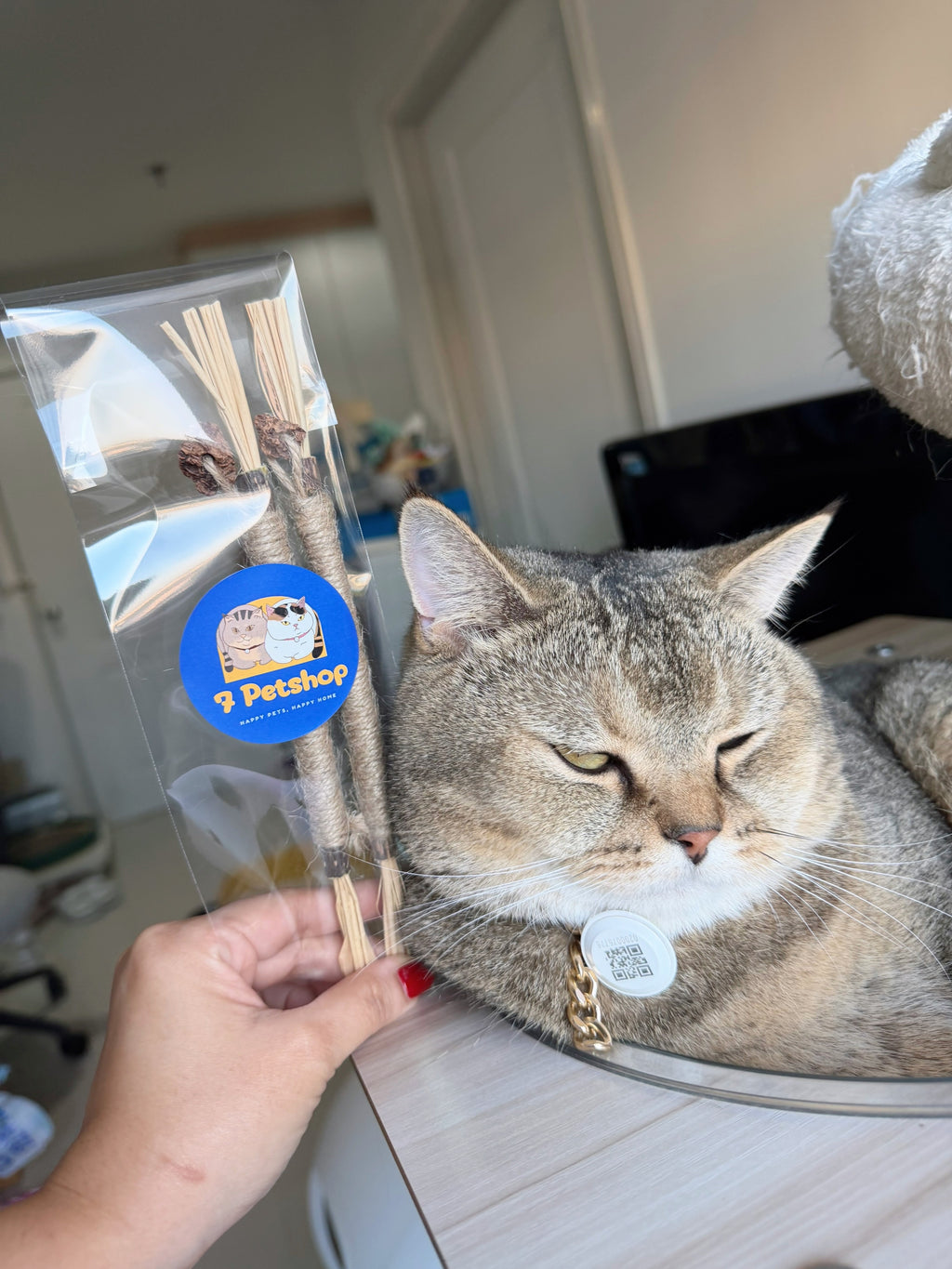 MOOO ไม้ขัดฟัน ทาทาบิ ลดคราบหินปูนของเล่นแมว ทำให้ลมหายใจสดชื่น ผ่อนคลาย ผลิตภัณฑ์ที่เหมาะสำหรับแมวของคุณ