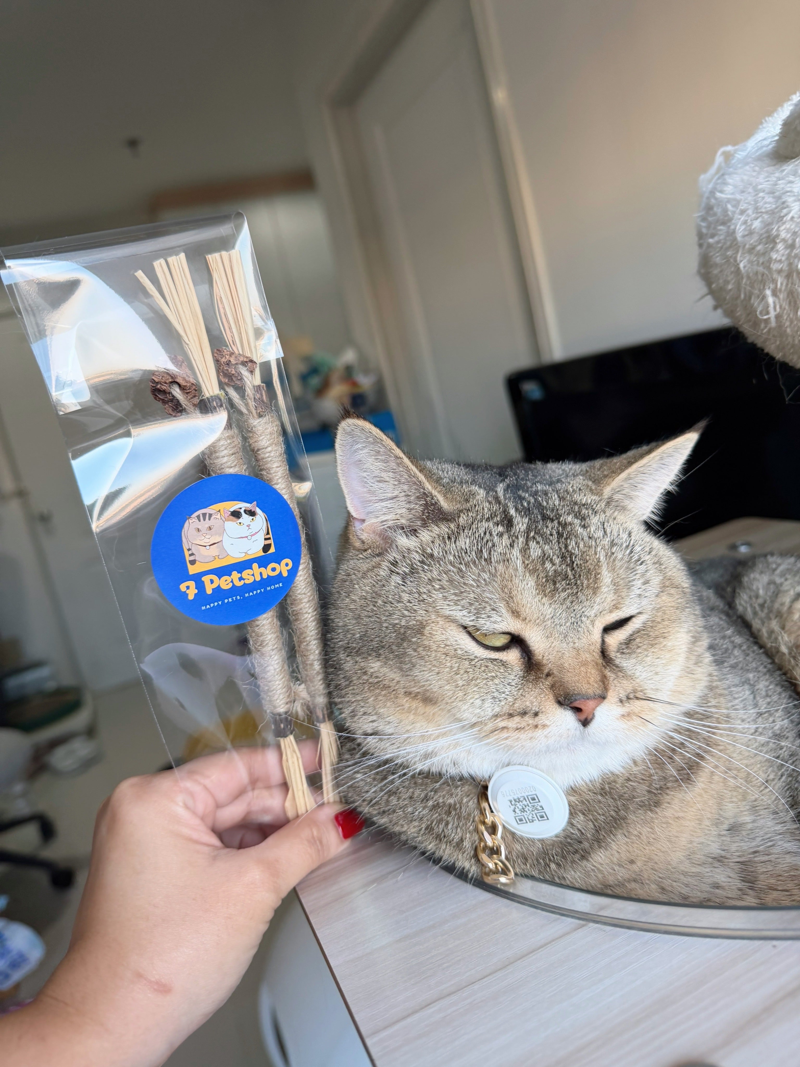 MOOO ไม้ขัดฟัน ทาทาบิ ลดคราบหินปูนของเล่นแมว ทำให้ลมหายใจสดชื่น ผ่อนคลาย ผลิตภัณฑ์ที่เหมาะสำหรับแมวของคุณ