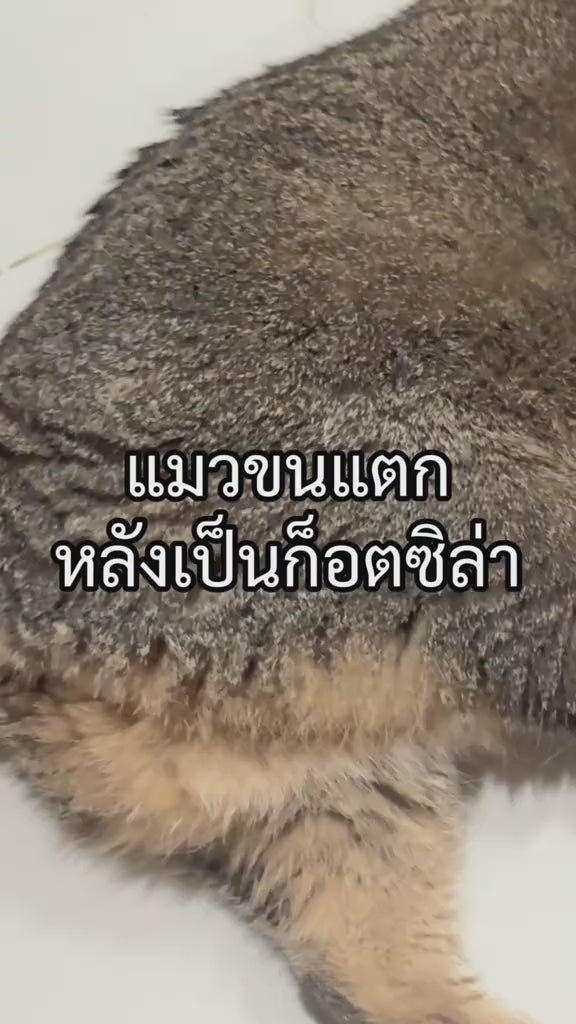 ถุงมือทำความสะอาดสำหรับสุนัขและแมว (Grooming Gloves)