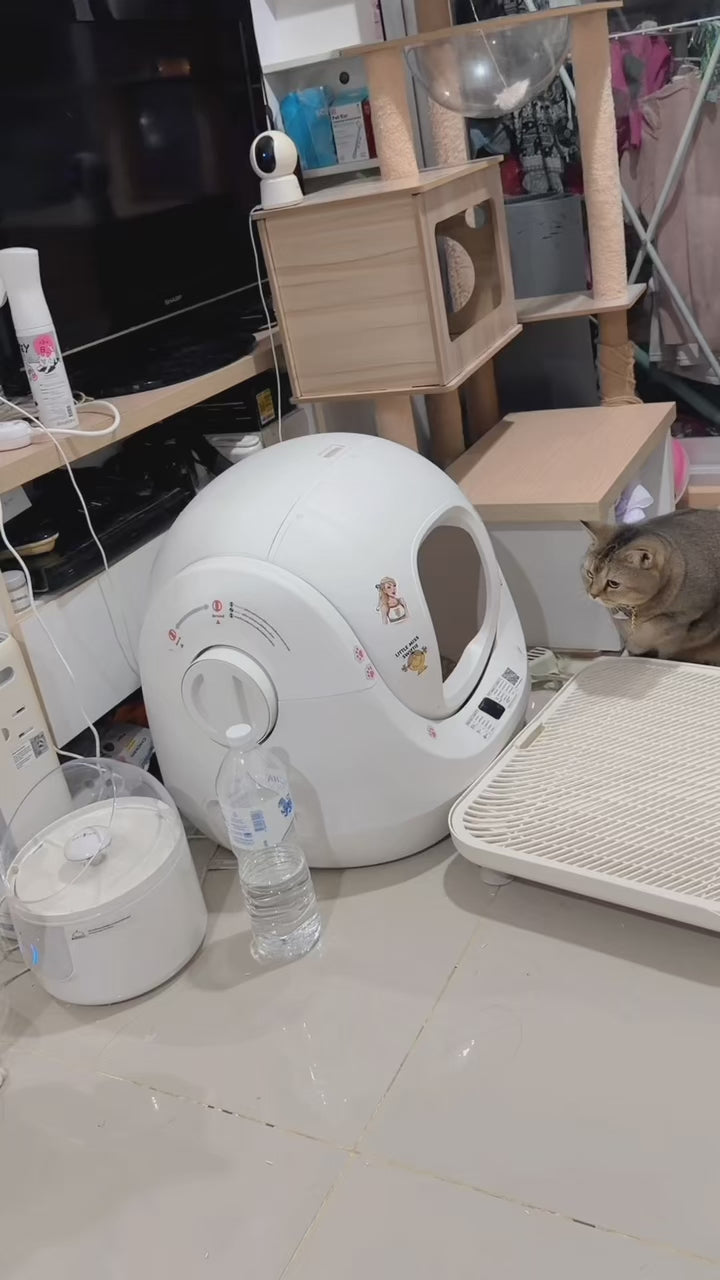 7Petshop Freeze-Dried Chicken Breast อกไก่ฟรีซดราย 100% สำหรับสุนัขและแมว